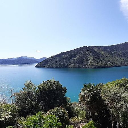 A Sea View B&B Picton Exteriér fotografie