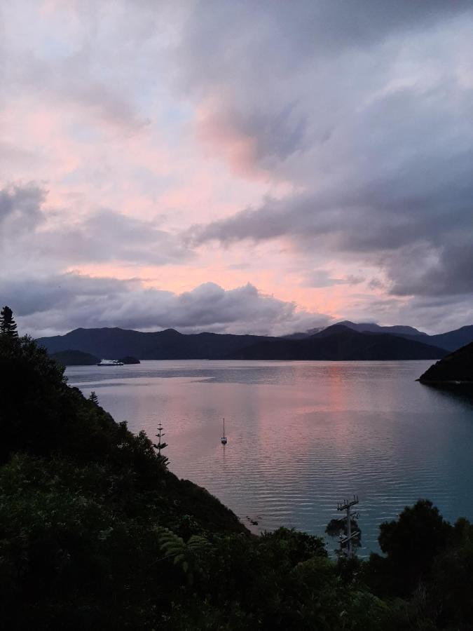 A Sea View B&B Picton Exteriér fotografie