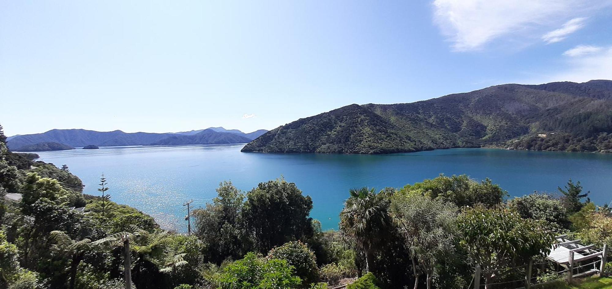 A Sea View B&B Picton Exteriér fotografie