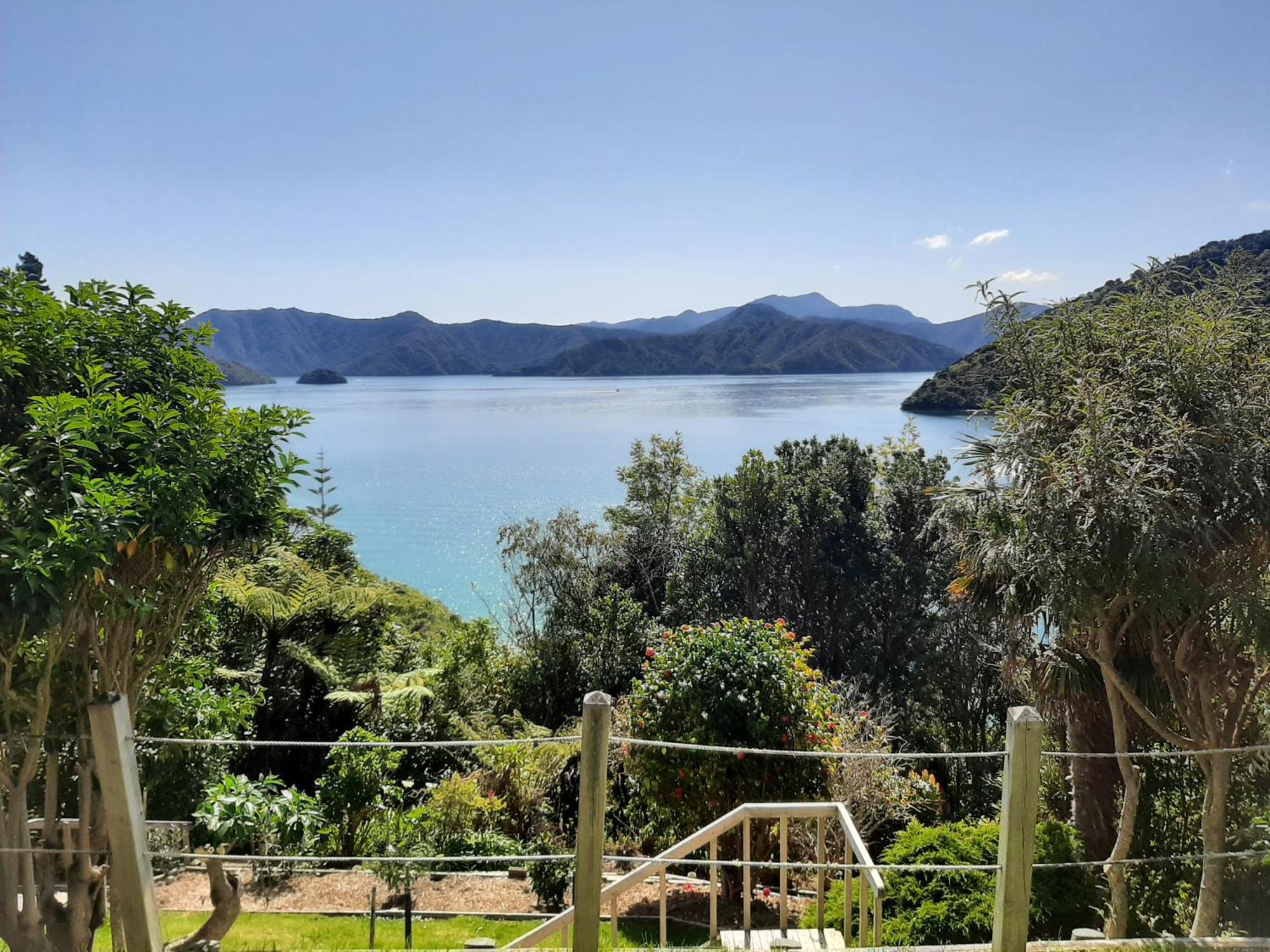 A Sea View B&B Picton Exteriér fotografie