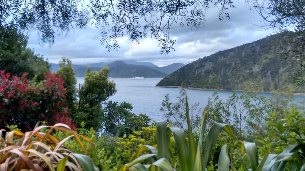 A Sea View B&B Picton Pokoj fotografie